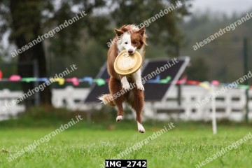 IMG_2742.jpg