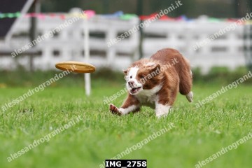 IMG_2758.jpg