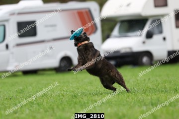 IMG_2810.jpg