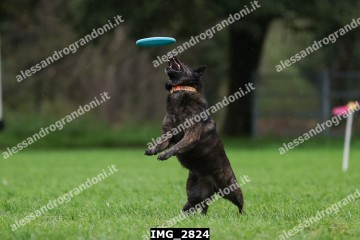 IMG_2824.jpg