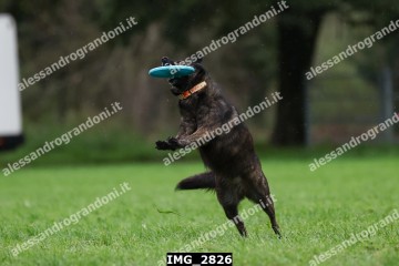 IMG_2826.jpg