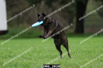 IMG_2828.jpg