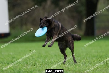 IMG_2829.jpg