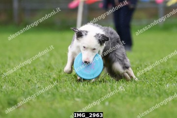 IMG_2963.jpg