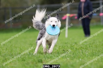 IMG_2973.jpg
