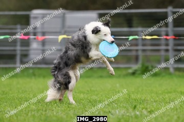 IMG_2980.jpg