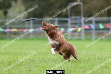 IMG_3095.jpg