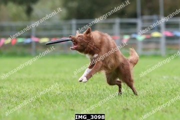 IMG_3098.jpg