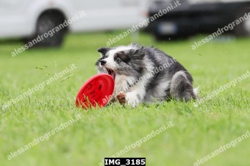 IMG_3185.jpg
