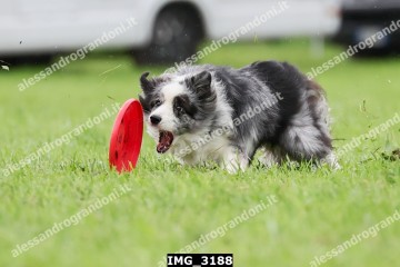 IMG_3188.jpg