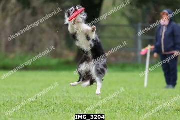 IMG_3204.jpg