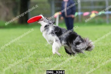 IMG_3262.jpg