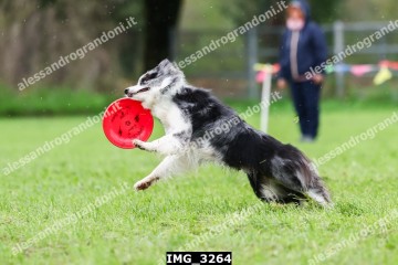 IMG_3264.jpg