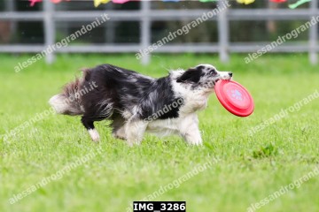 IMG_3286.jpg