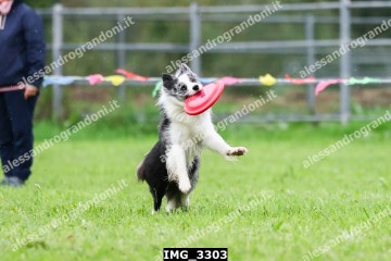 IMG_3303.jpg