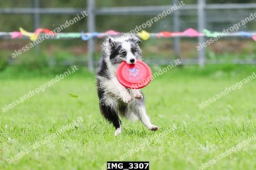 IMG_3307.jpg