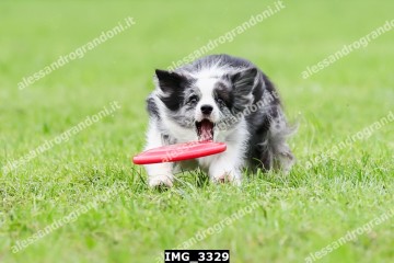 IMG_3329.jpg