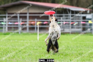 IMG_3358.jpg