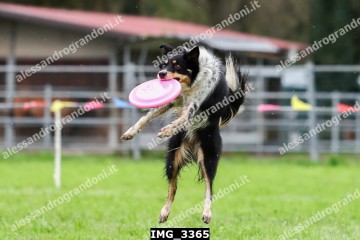 IMG_3365.jpg
