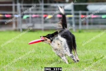 IMG_3374.jpg