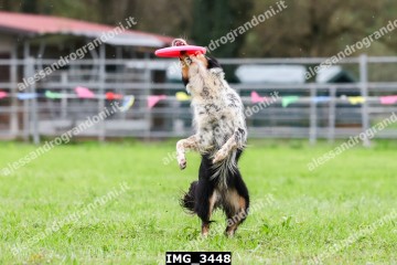 IMG_3448.jpg