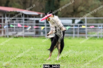 IMG_3451.jpg