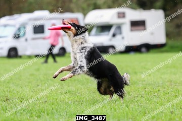 IMG_3487.jpg