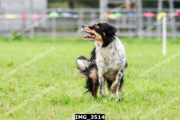 IMG_3514.jpg