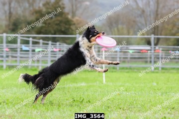 IMG_3564.jpg