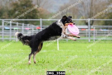 IMG_3566.jpg
