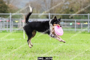 IMG_3570.jpg