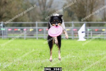 IMG_3582.jpg