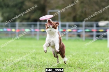 IMG_3594.jpg