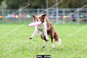 IMG_3598.jpg