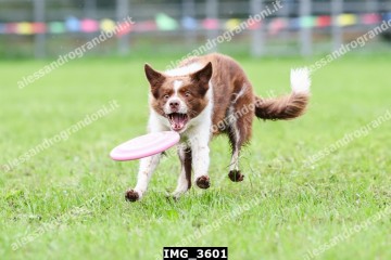 IMG_3601.jpg