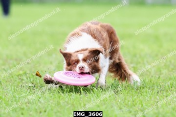 IMG_3606.jpg