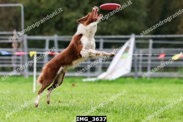 IMG_3637.jpg