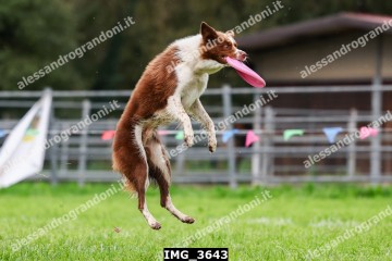 IMG_3643.jpg