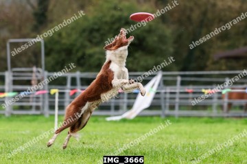 IMG_3666.jpg