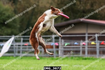 IMG_3672.jpg