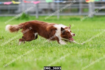 IMG_3693.jpg
