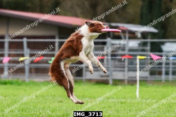 IMG_3713.jpg