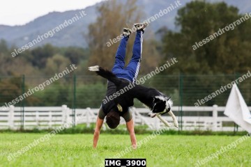 IMG_3900.jpg