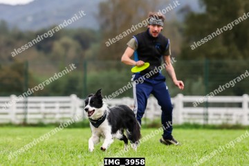 IMG_3958.jpg