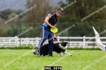 IMG_3976.jpg