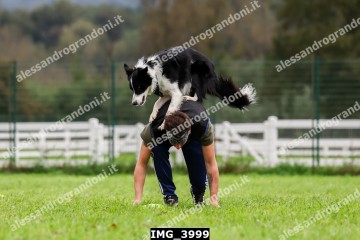 IMG_3999.jpg