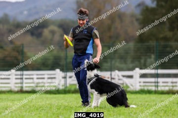 IMG_4019.jpg
