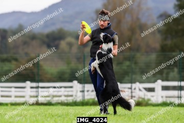 IMG_4024.jpg