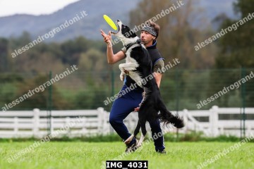 IMG_4031.jpg