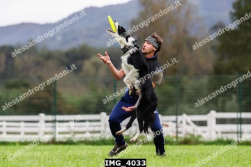 IMG_4033.jpg